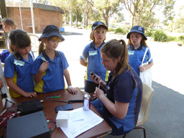 scouts on radio